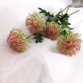 Leucospermum Pincushion Stem 54cmH
